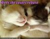 Neya & Nerr Say
